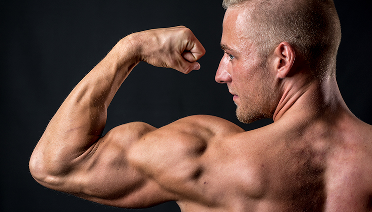 Muskelopbygning, biceps