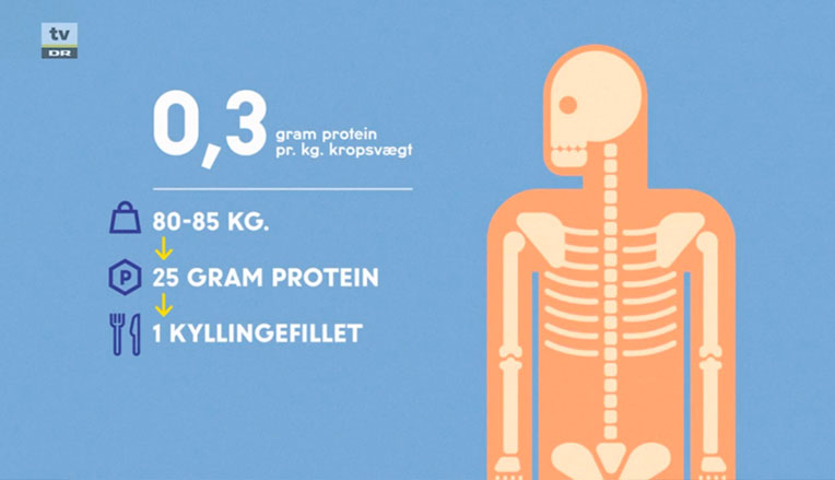 hvor mange gram protein om dagen
