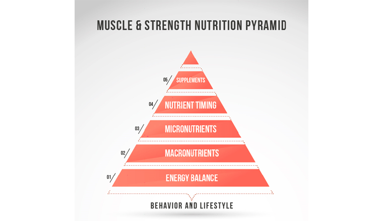 Muscle and strength nutrition pyramid