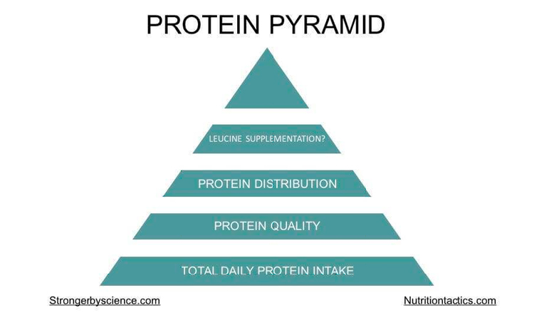 Protein Pyramid