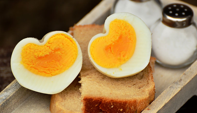 Æg, kolesterol, testosteron og muskelvækst
