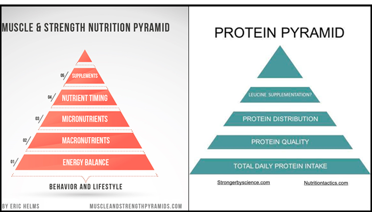 Ernæring og proteinindtagets betydning for muskelopbygning