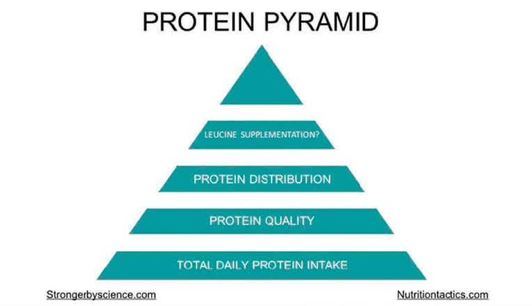 Protein Pyramide