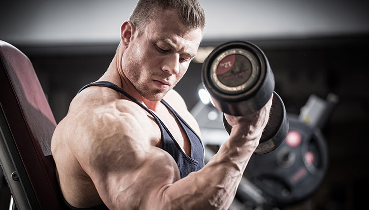 Biceps, mand, træning
