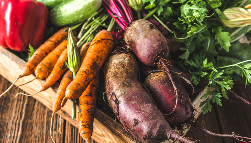 Så stor en forskel gør 600 g frugt og grønt dagligt 