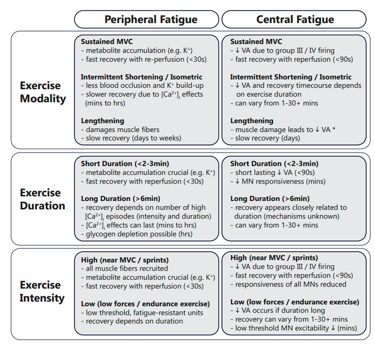 Forskellige mekanismer i forbindelse med udtrætning