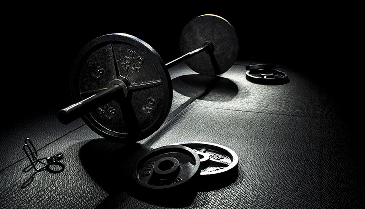 vægtstang, vægtskiver, fitness