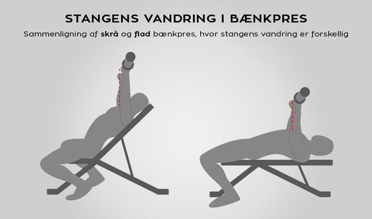 Infographic bryst træning