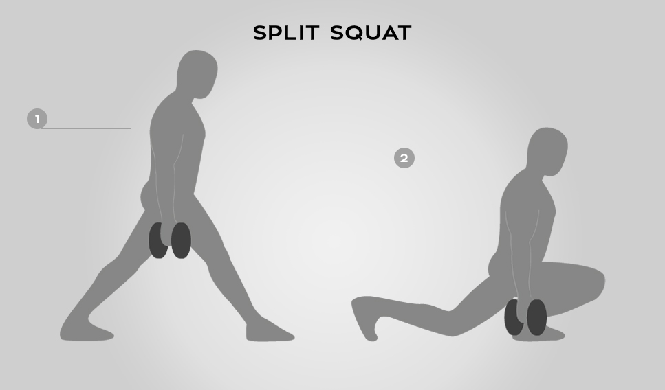 Infographic split squat