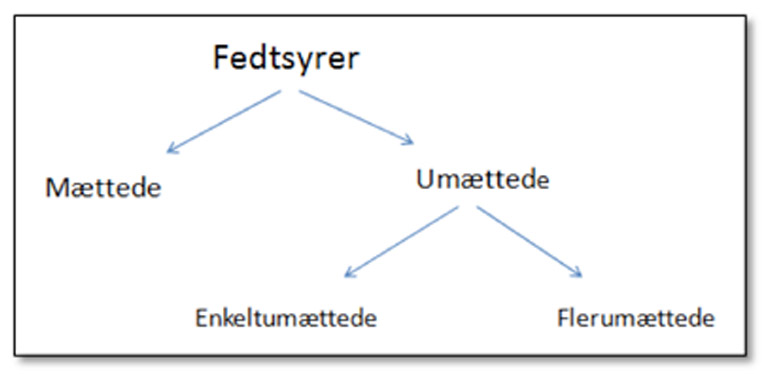 fedt kostens næringsindhold