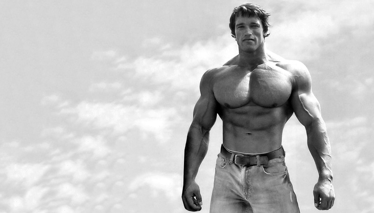 Arnold Schwartzenegger, ikon, bodybuilder