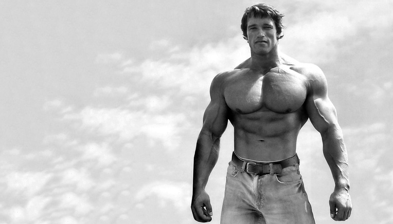 Arnold Schwartzenegger, ikon, bodybuilder