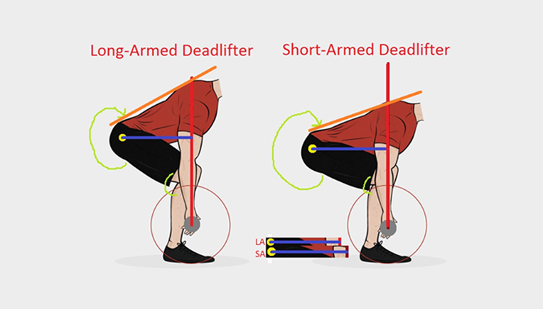 startposition i dødløft med korte eller lange arme