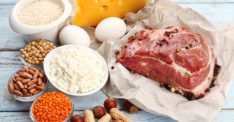 animalsk og vegatabilsk protein