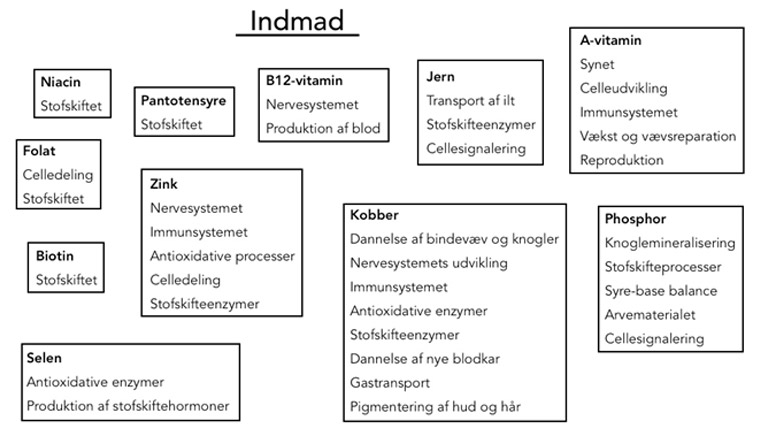 Figur over indmad