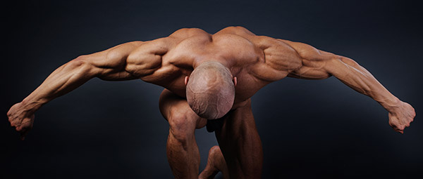 Muskler i populærkultur – del 1