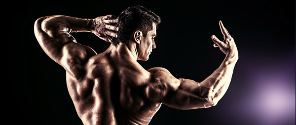 Muskler i populærkultur – del 2