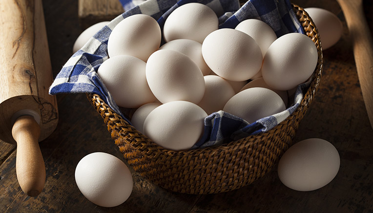 Proteinkilde æg