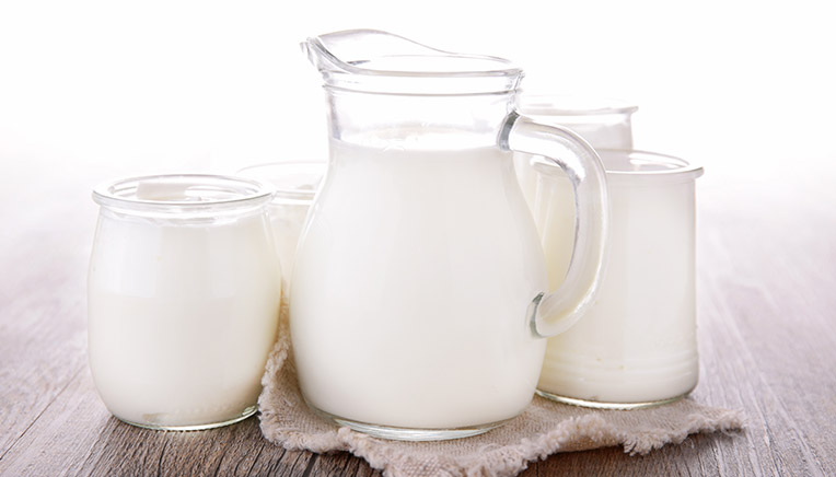 Proteinkilde mælk