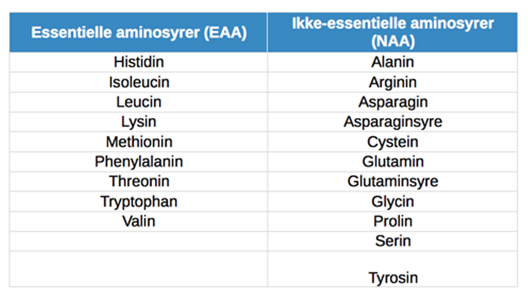 Tabellen over 20 aminosyrer