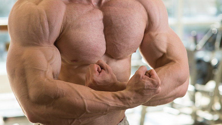 Bodybuilder
