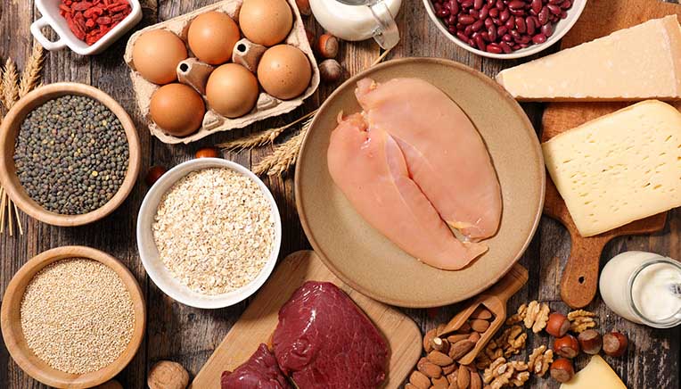 Foods high in protein