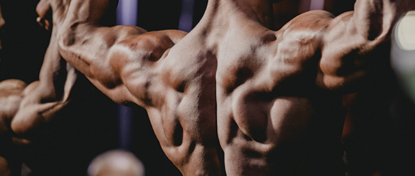 Er variation vejen frem for styrke og muskelmasse?