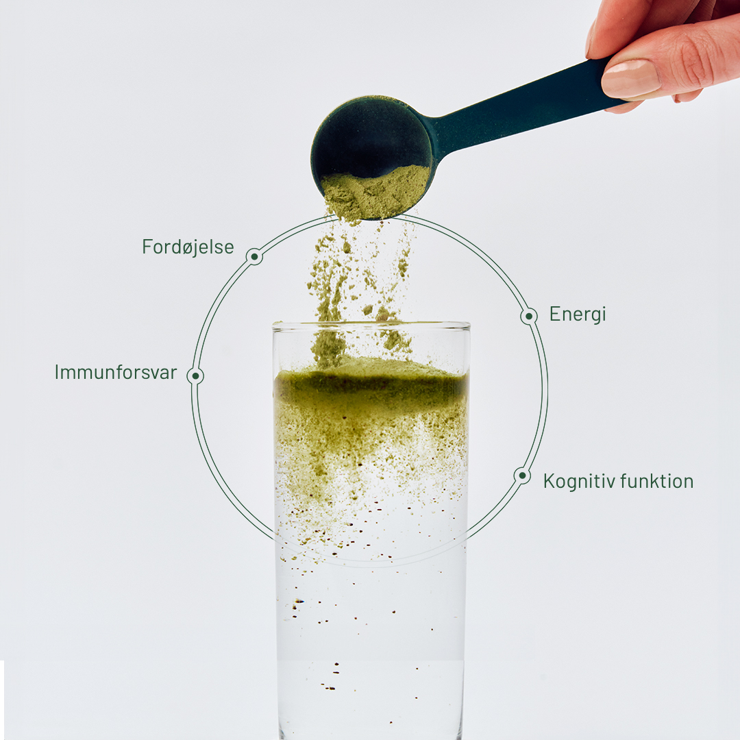 Daily routines for real people