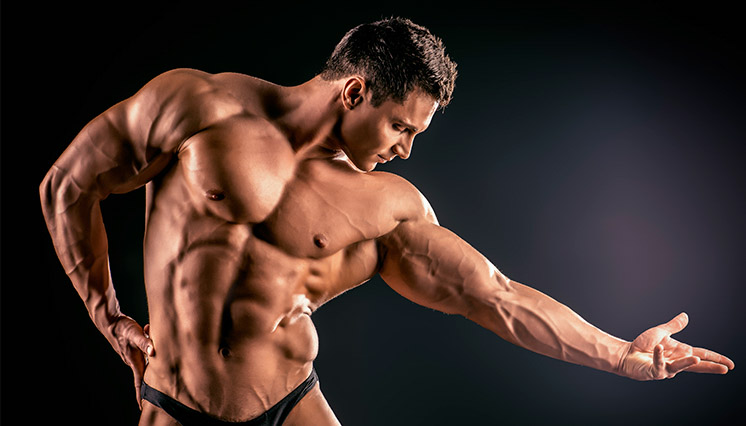 Bodybuilder