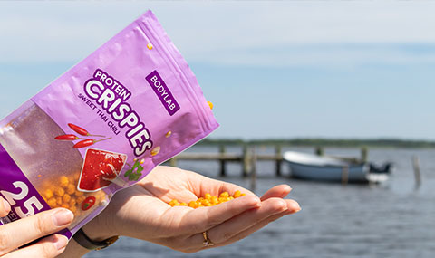 Protein Crispies