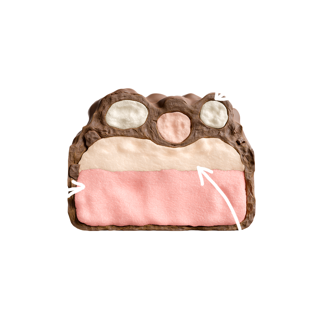 Protein Bar Skumnisse