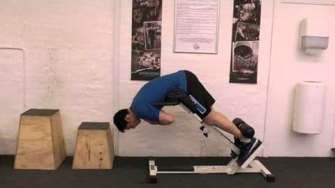 45 degree hyperextension (fixed hip)